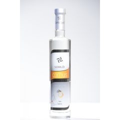 CORNUS BIRS PÁLINKA 42° 0,5 l