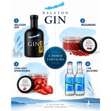 BALATON GIN BOX